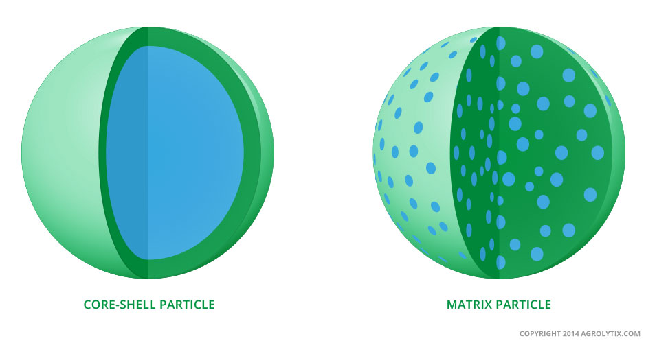 Core Shell Particle - Matrix Particle